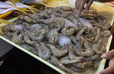 A tray of fresh shrimp at Toledo Public Market 46.jpg